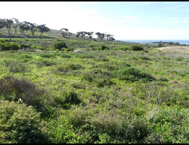 LAND FOR SALE IN ST HELENA VIEWS